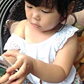 IMAG1317.jpg