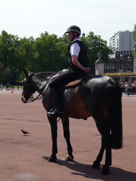 警察騎著馬出現