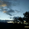 i luv those trees silhouett against the blue sky