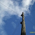 it may be the highest telegraph pole in the world