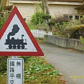 beware of train