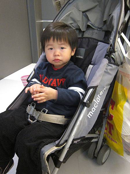 IMG_5650 IMG_5650
