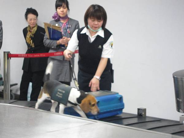 IMG_5688 IMG_5688