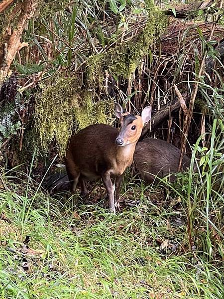 20221009 0839.............jpg