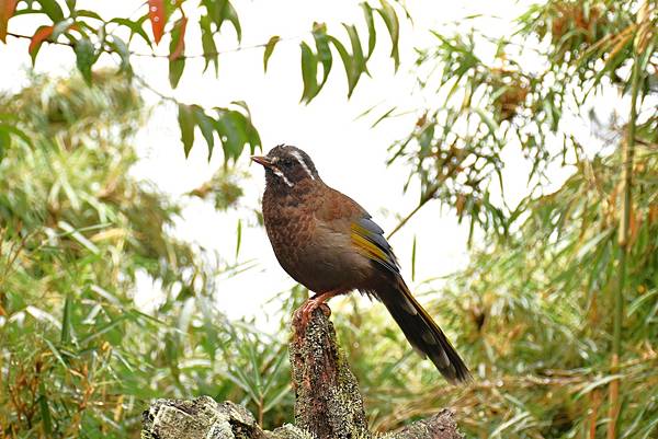 20221009 1012 (3).jpg