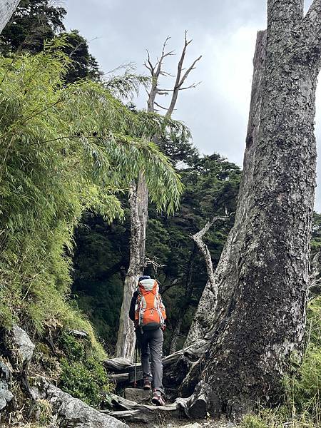 20221009 1309 (1).JPEG