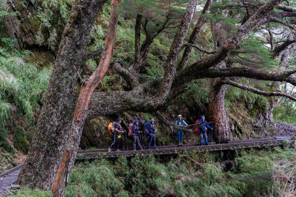 20221009 1258 (2).jpg