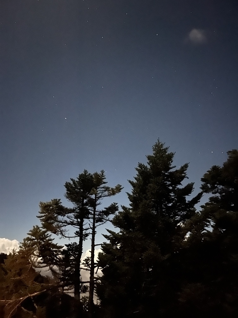 20221009 2309 (1).JPEG