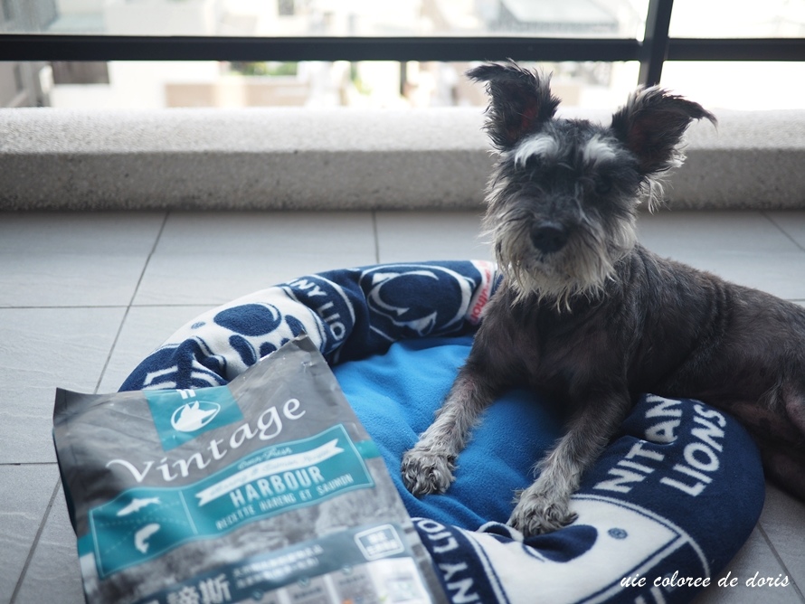 P1010225.JPG P1010225.JPG