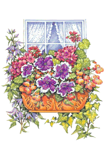 窗台上的花.gif