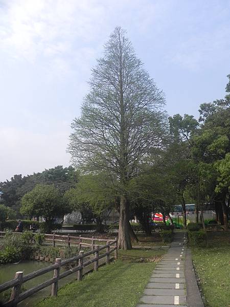 20170414大湖公園 (26).JPG 20170414大湖公園 (26).JPG