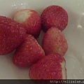 超愛這邊的草莓!!!