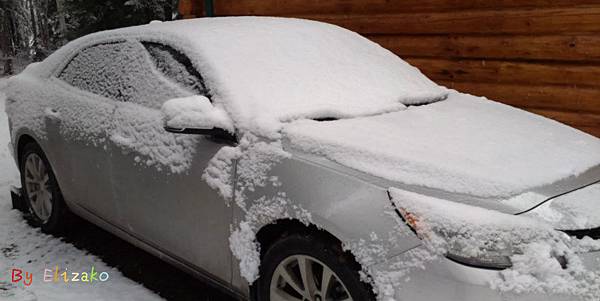 雪覆蓋汽車