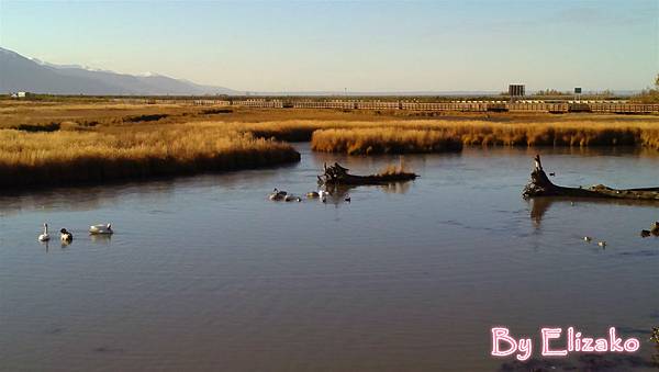 pottermarsh1_meitu_1