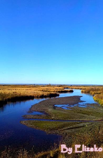 pottermarsh2_meitu_2