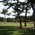 0927-大沼公園-3.JPG