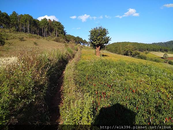 IMG_20171205_151729.jpg IMG_20171205_151729.jpg