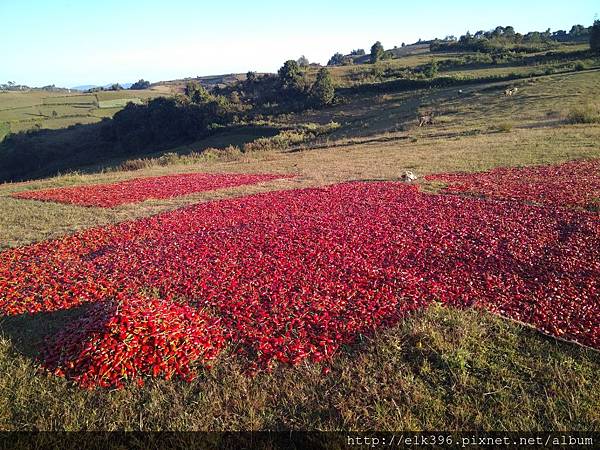 IMG_20171205_163106.jpg IMG_20171205_163106.jpg