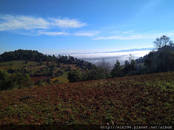 IMG_20171206_092136.jpg IMG_20171206_092136.jpg