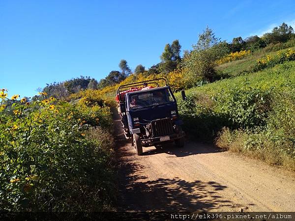 IMG_20171206_092844.jpg IMG_20171206_092844.jpg