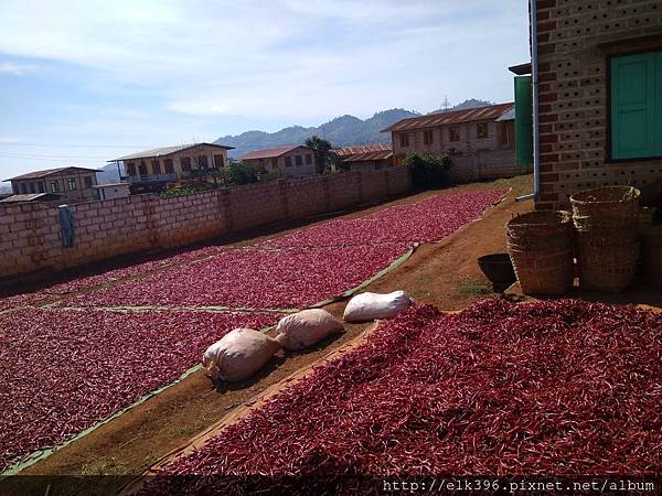 IMG_20171206_110123.jpg IMG_20171206_110123.jpg