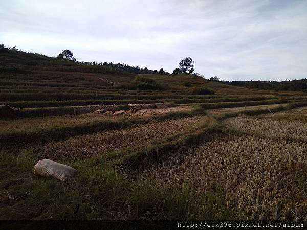 IMG_20171206_153955.jpg IMG_20171206_153955.jpg