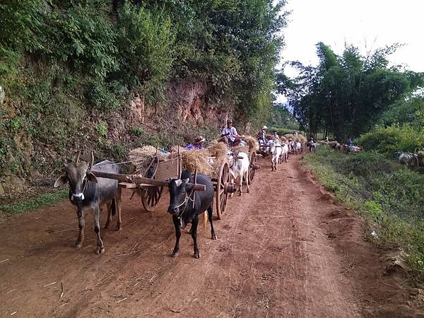 IMG_20171206_164142.jpg IMG_20171206_164142.jpg