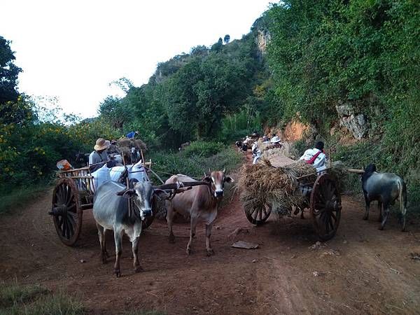 IMG_20171206_163950.jpg IMG_20171206_163950.jpg