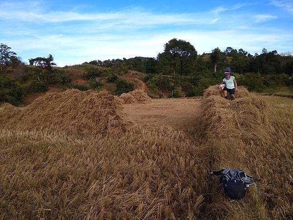 IMG_20171206_154447.jpg IMG_20171206_154447.jpg