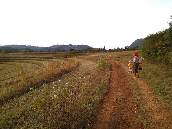 IMG_20171206_163340.jpg IMG_20171206_163340.jpg