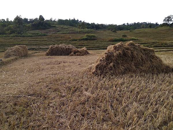 IMG_20171206_154825.jpg IMG_20171206_154825.jpg