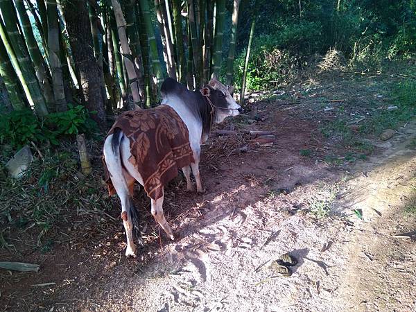 IMG_20171207_073449.jpg IMG_20171207_073449.jpg