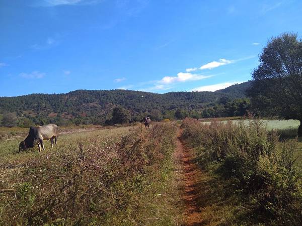 IMG_20171207_095016.jpg IMG_20171207_095016.jpg