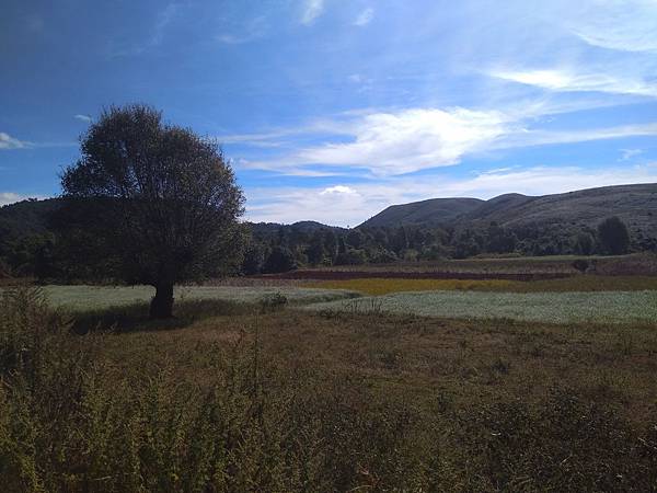 IMG_20171207_095022.jpg IMG_20171207_095022.jpg