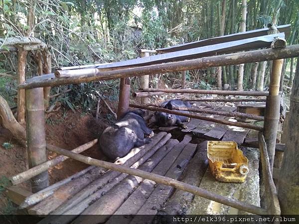 IMG_20171207_102532.jpg IMG_20171207_102532.jpg