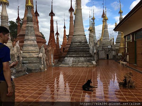 IMG_8885.JPG IMG_8885.JPG