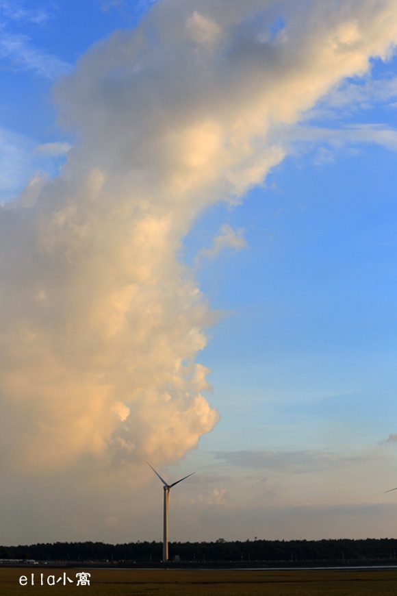 IMG_8397a.jpg IMG_8397a.jpg