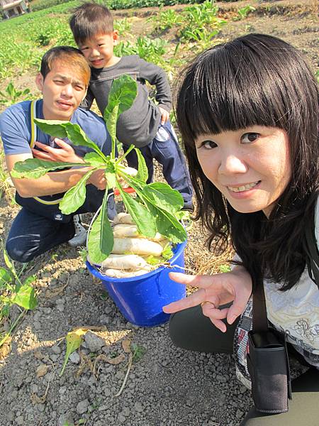 拔蘿蔔 (27)