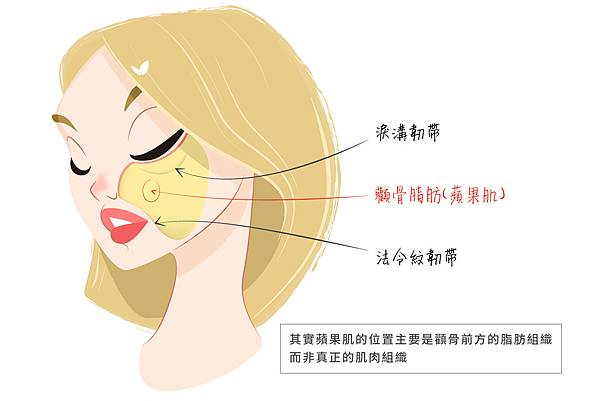 洢蓮絲依戀斯Ellanse聚己內酯PCL少女針蘋果肌顯老下垂凹陷微整形02 洢蓮絲依戀斯Ellanse聚己內酯PCL少女針蘋果肌顯老下垂凹陷微整形02