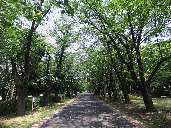 辰巳綠道公園