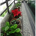 DSC00750.JPG