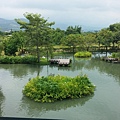 CAM00958.jpg