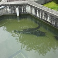 DSC07143.JPG