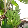DSC07070.JPG