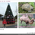 動物園-0020.jpg