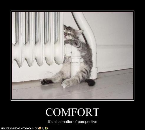 funny-pictures-kitten-is-comfortable.jpg