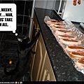 funny-pictures-cat-wants-steak.jpg