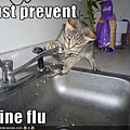 funny-pictures-cat-washes-paws.jpg