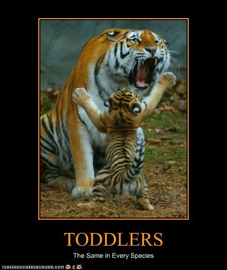 funny-pictures-tiger-is-mad-at-toddler.jpg