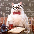 funny-pictures-cat-will-do-science.jpg